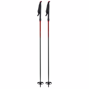 Åsnes Ingstad Alloy Pole